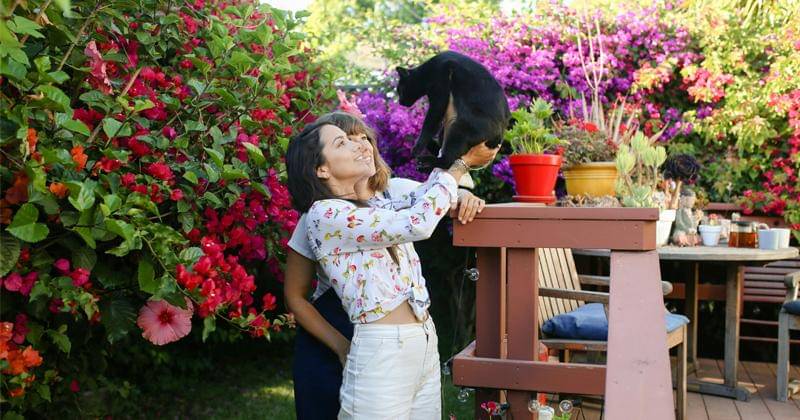 Pexels/RDNE Stock project